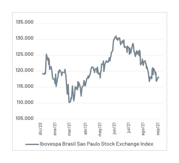 Mercado brasileño con presión bajista